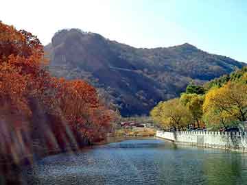 新澳天天开奖资料大全旅游团，站群黑帽